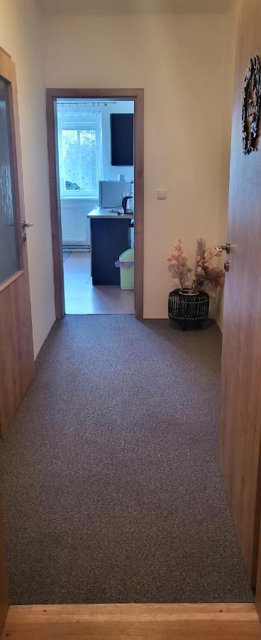Apartman Dany Hanusovice Exterior photo