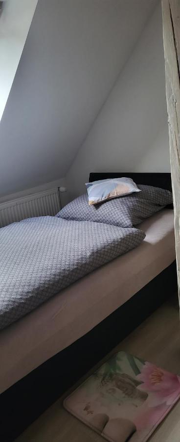 Apartman Dany Hanusovice Exterior photo