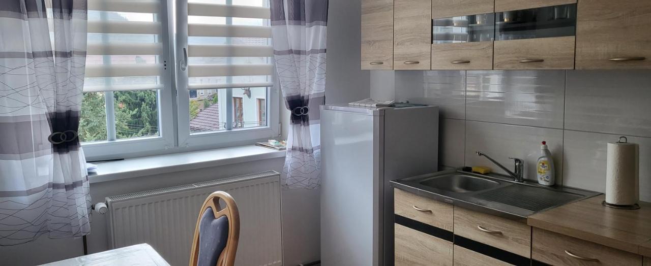 Apartman Dany Hanusovice Exterior photo